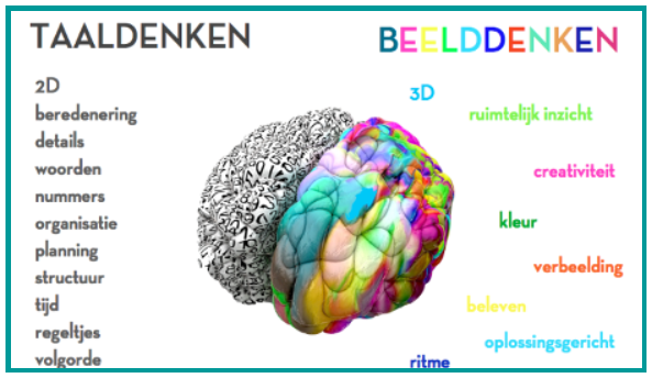 Afbeeldingsresultaat voor linker en rechter hersenhelft